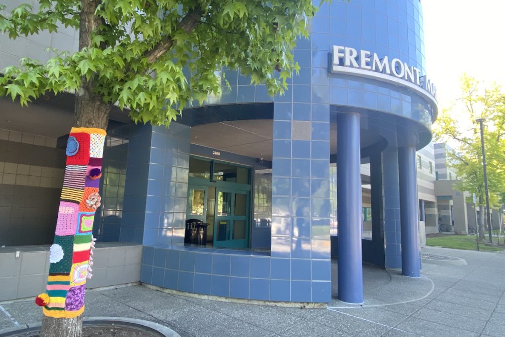 BRANCHING OUT The yarn bombing project can also be viewed on trees at the entrance to Fremont Main Library on Stevenson.
Photos by Stephanie Uchida