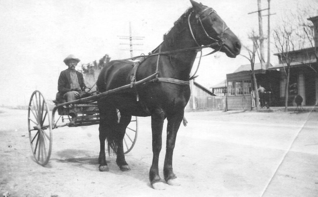 CART AND HORSE Man on horse and buggy—Warm Springs, 1920s. 
Photos courtesy of Washington Township Museum of Local History