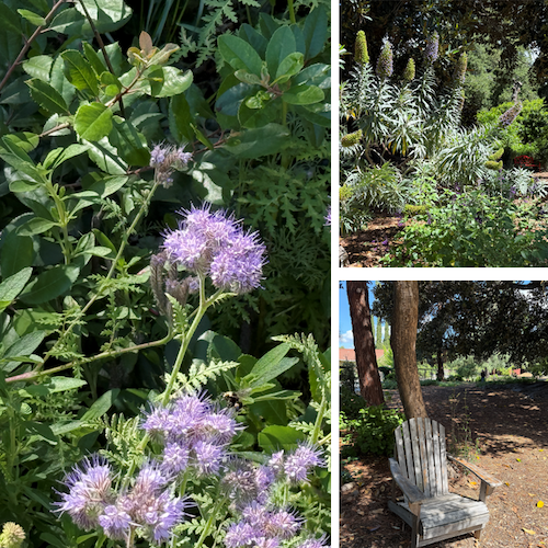 NATURE SCENES Lisa Stambaugh created a college of scenes around Shinn House.
Lisa Stambaugh 