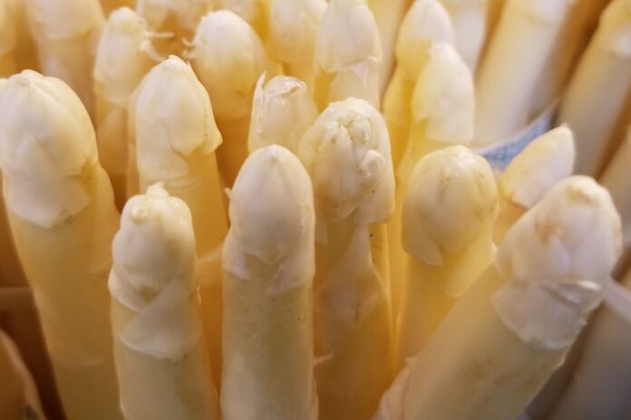 White bites of white gold