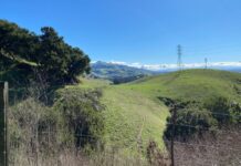 City moves to keep public land open City moves to keep public land open