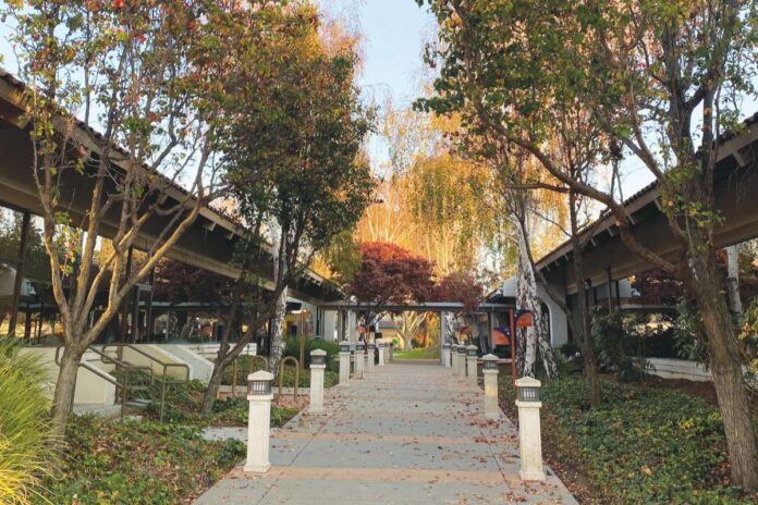 Fremont Charter City public hearing and first draft