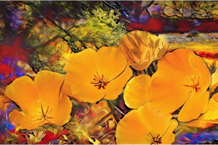 Sun Gallery presents California Dreamin’