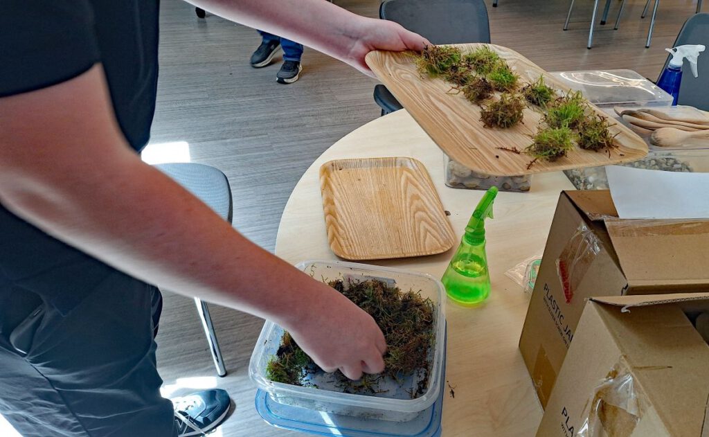 GATHERING MOSS Moss is a central requirement for life in a terrarium.
Rob Klindt