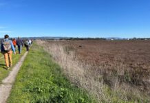 Hayward Shoreline updates focus on future recreation Hayward Shoreline updates focus on future recreation