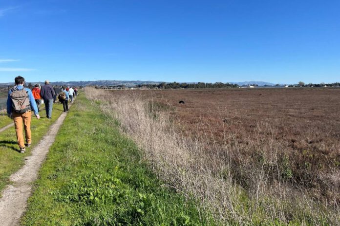 Hayward Shoreline updates focus on future recreation