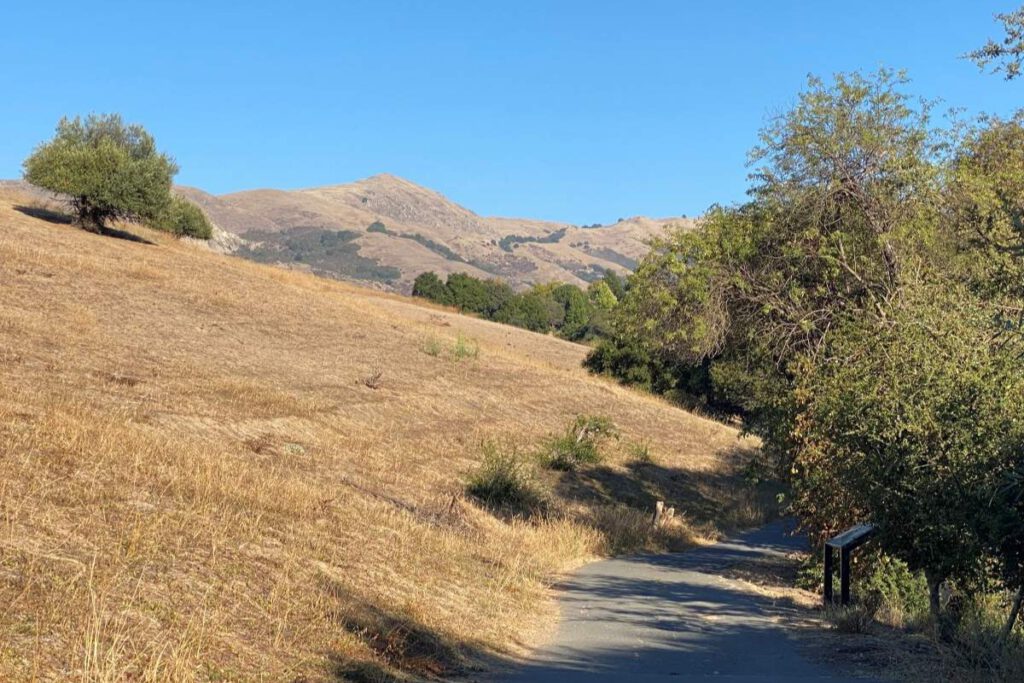 PEAK HIKING To the left, Sabercat Creek Trail winds away with Mission Peak in the distance.
Photos by Stephanie Uchida