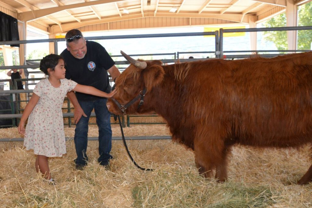 HOLY COW A highland cow and calf will be there to make friends.
ZstudioZ
