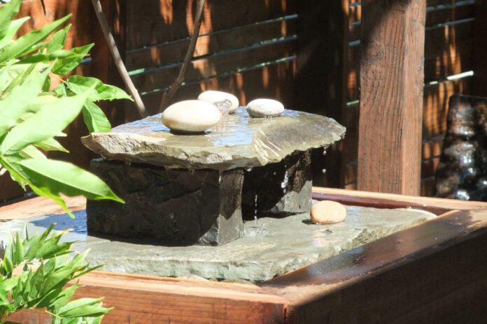 Water features make a big splash