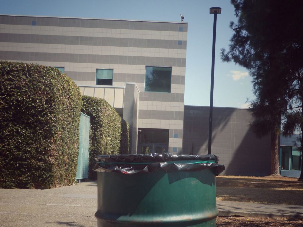 TRASH TALKING Around the library are open trash cans—but heavy duty wildlife-proof trash cans run up to $1,900.
Andrew Cavette