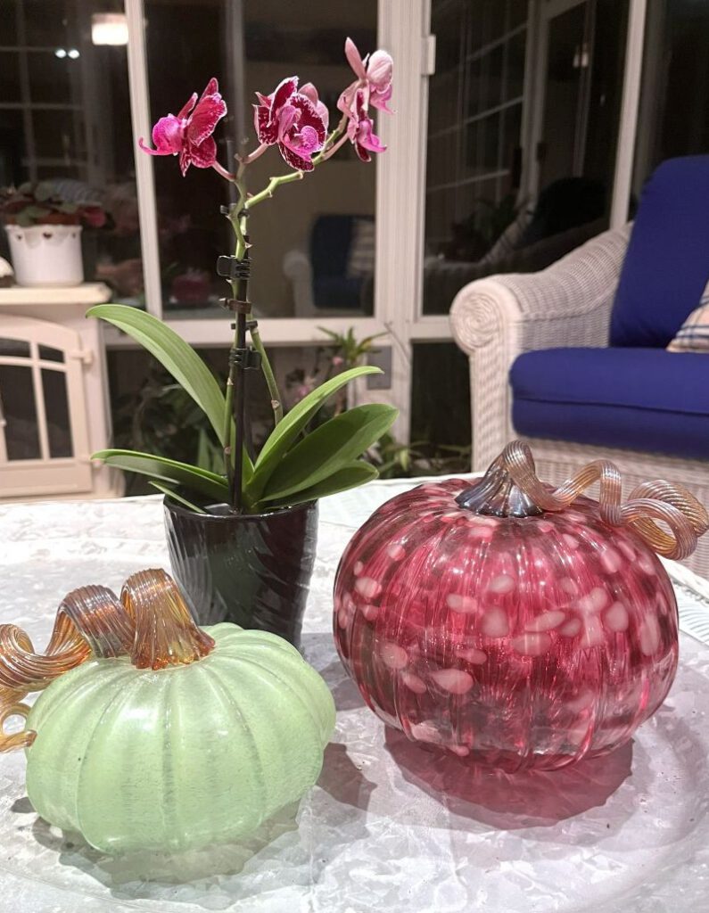 STAINED GLASS Glass pumpkins can be made in natural orange, green and brown, or use more fanciful colors. Daniel O’Donnell