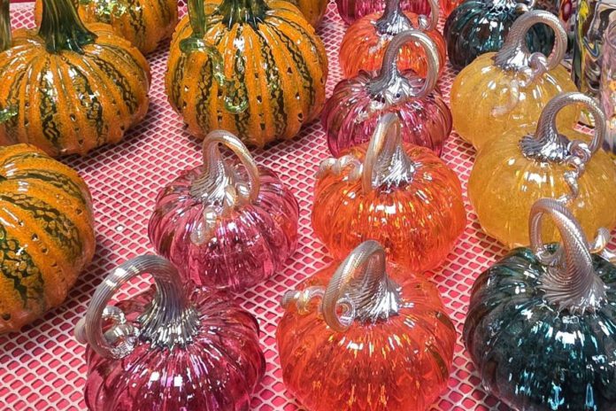 Gourd vibes for Halloween