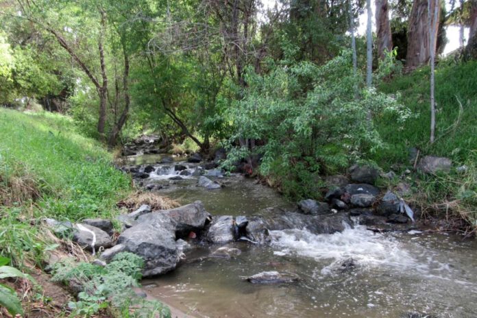 History-oriented urban hike explores Irvington