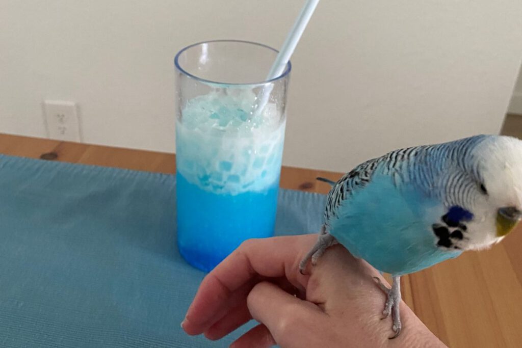 BLUE MOOD Nami seemed to think I had made this drink from his distilled soul, and he would have nothing to do with it.
Stephanie Uchida