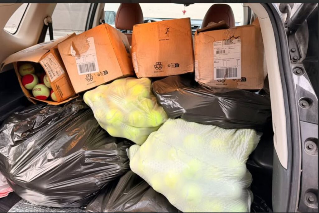 BACK IN BUSINESS Boxes and bags are filled with hundreds of collected tennis balls before a Bounce Back collection drive. 
William Lam