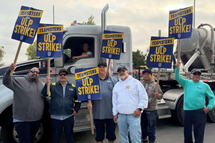 Salt workers strike for better wages and healthcare