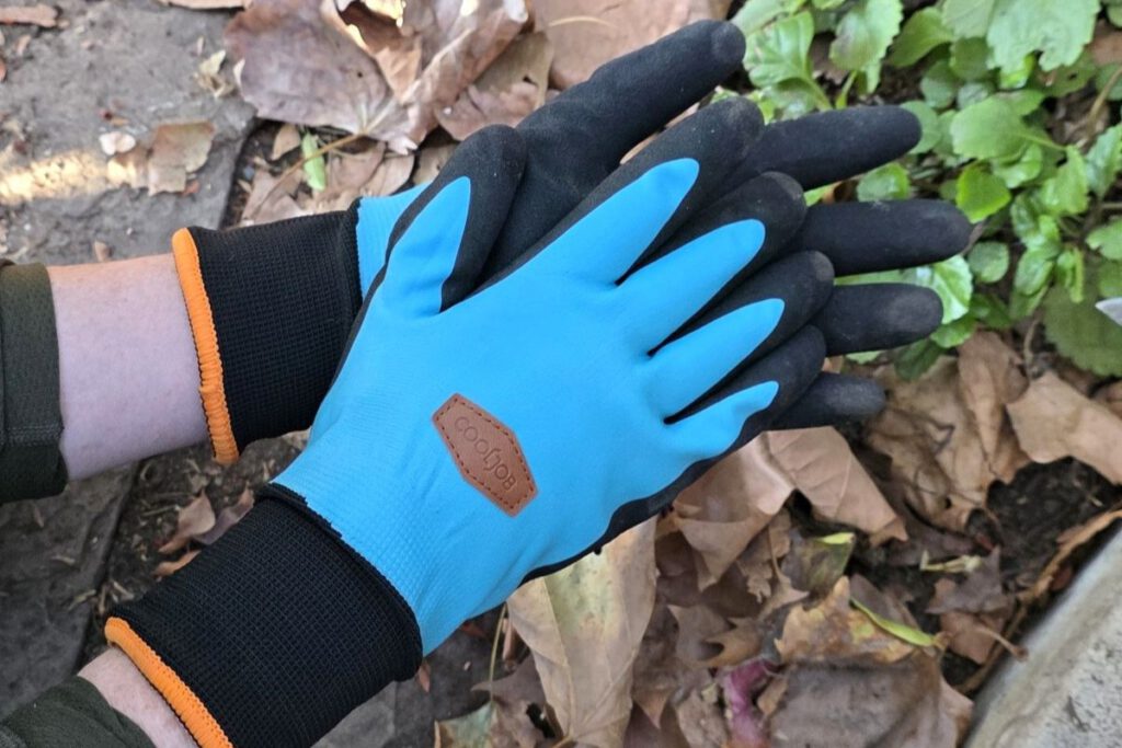 VELVET GLOVE Fleece-lined and rubber coated gardening gloves protect fingers from the cold and damp. Daniel O’Donnell