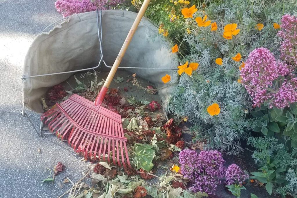 GRASS ACT This grass catcher provides a convenient pocket to snap up raked debris and carry it to the composting bin.
Daniel O’Donnell