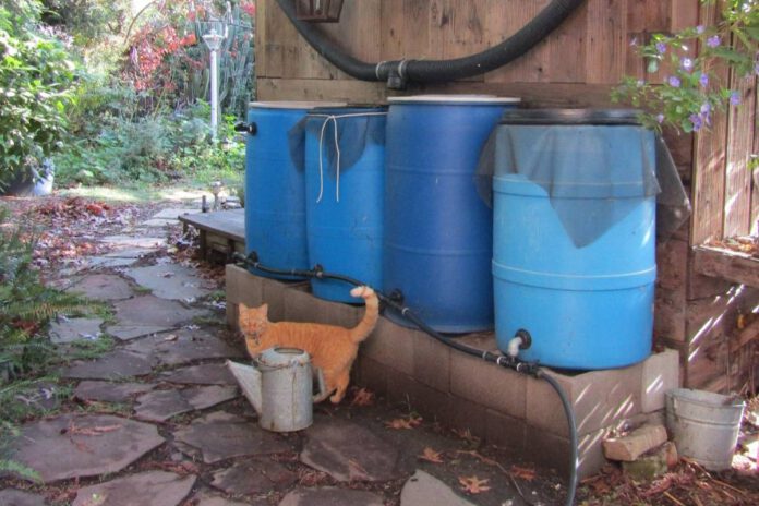 Fall in love with autumn garden tools