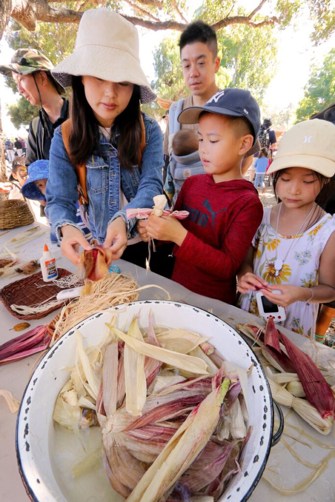 CORNY At the Ardenwood Harvest Festival, kids can harvest corn and make corn husk dolls.
Victor Carvellas