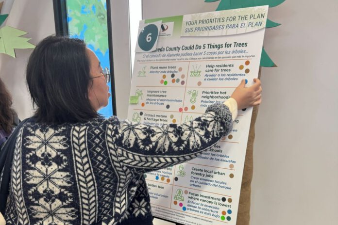 Alameda County talks trees